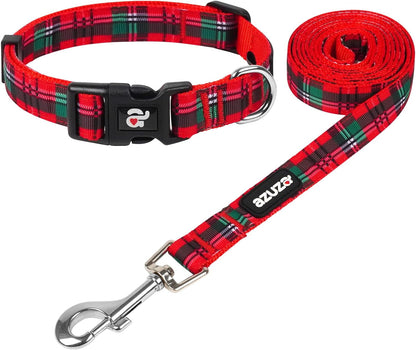 Red Holiday Collar & Leash Set (S)