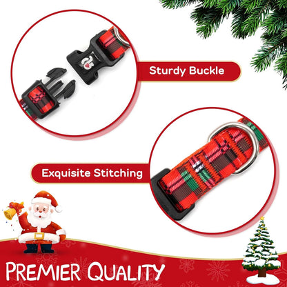 Red Holiday Collar & Leash Set (S)