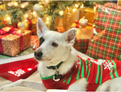 Snowman Dog Sweater