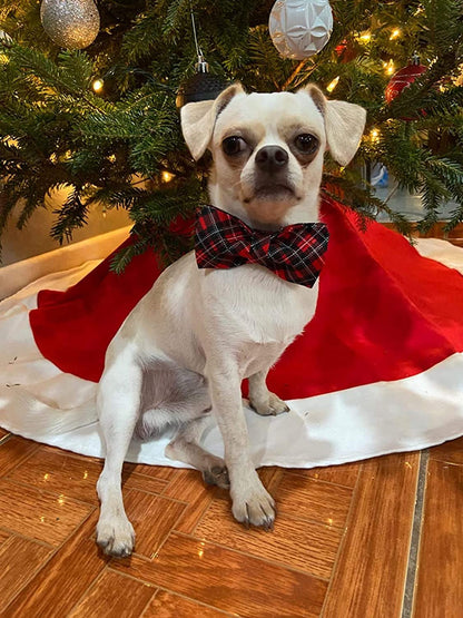 Red+Black Plaid Dog Bow Tie & Collar Set