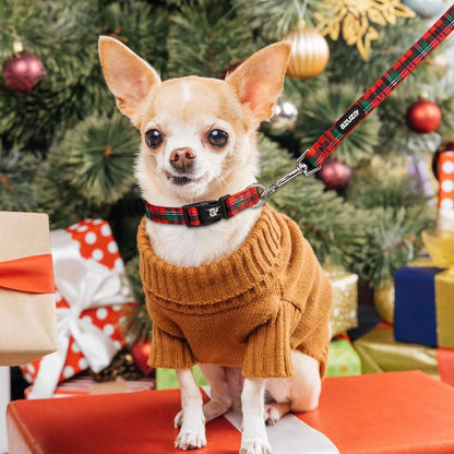 Red Holiday Collar & Leash Set (S)