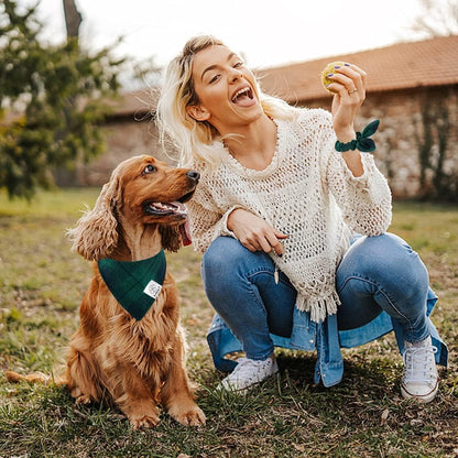 Green Plaid Pet Bandana & Scrunchie Set