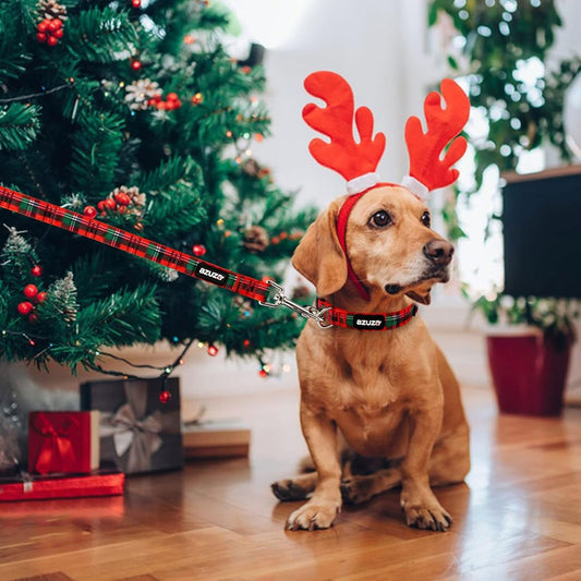 Red Holiday Collar & Leash Set (S)