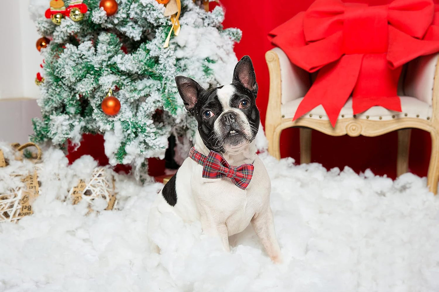 Red+Green Holiday Dog Bow Tie & Collar Set