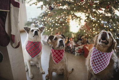 Red Plaid Dog Bandana