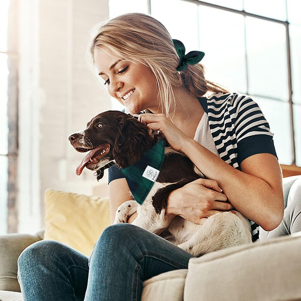 Green Plaid Pet Bandana & Scrunchie Set