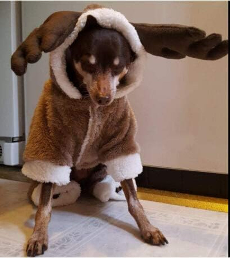 Reindeer Dog Costume